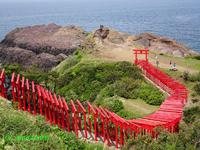 青い海と赤い鳥居、山口絶景スポット『元乃隅稲成神社』