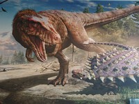 日本で３番目の恐竜専門博物館『長崎市恐竜博物館 』