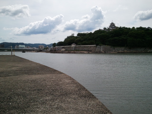 シーバス