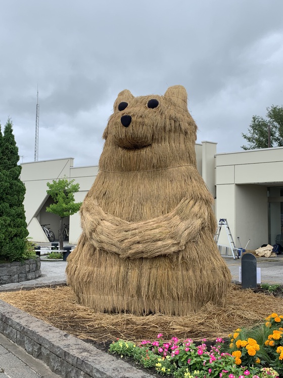 可愛いクマのわらアート@北海道東神楽町