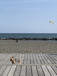 湘南の海と平塚市美術館へ