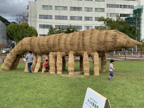 わらアート制作完了@山口中央公園