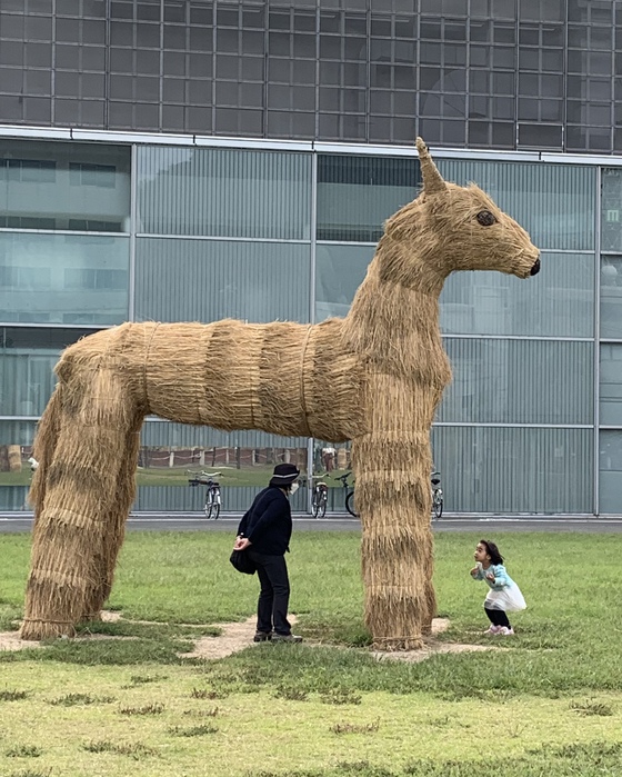 わらアート制作完了@山口中央公園