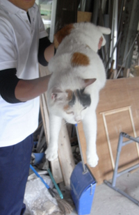 何もしなさすぎです。