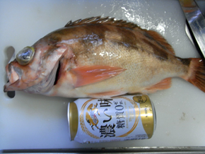 土曜日に・・。