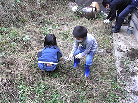 家庭菜園するぞ！