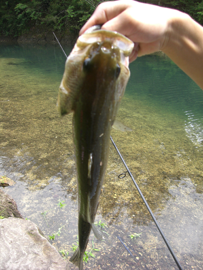 バス釣りin有田ダム