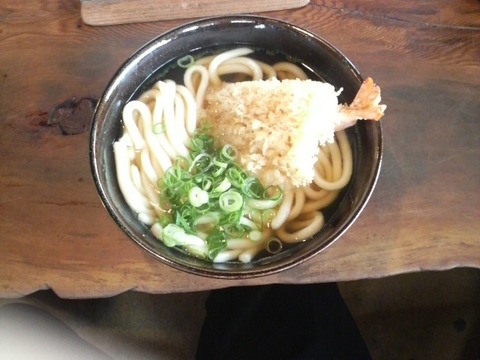 瀬高　大力うどん