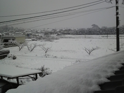 積雪８ｃｍ　みやき町綾部