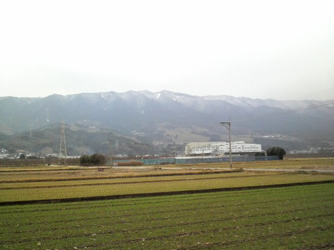 耳納連山も雪