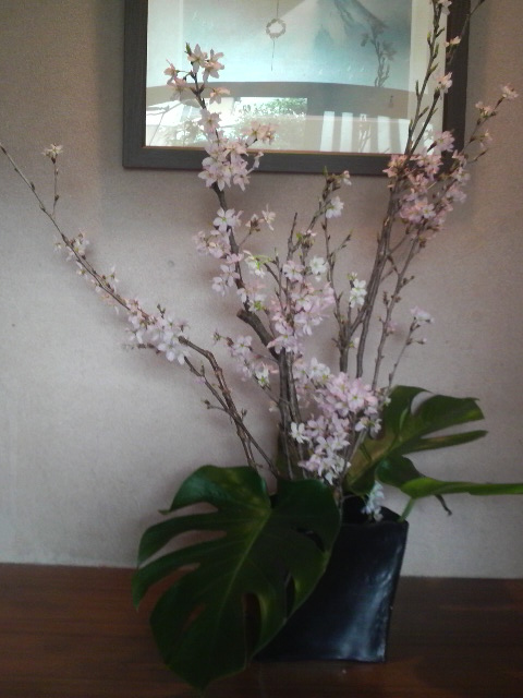 桜・・・咲く