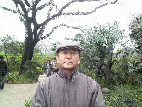 神崎市　宝殊寺の姫しだれ桜満開