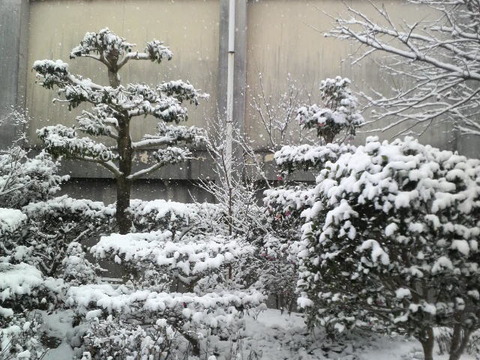 氷がまたでかくなった！！