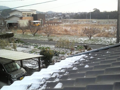 氷がまたでかくなった！！