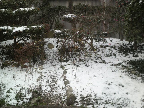 氷がまたでかくなった！！