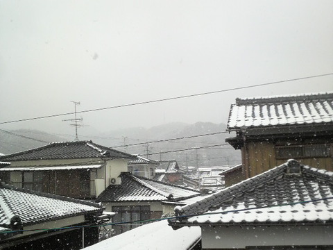 やっぱり雪が積もりました