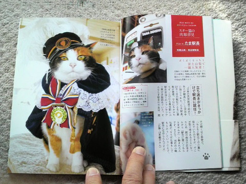 ねこの肉球うらない・・・猫バカ？