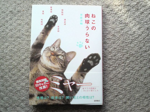 ねこの肉球うらない・・・猫バカ？