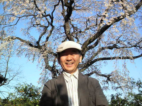 神崎市　宝珠寺の姫しだれ桜満開！！