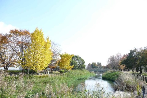 多布施川河畔公園の紅葉