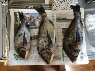 ９月２７日の釣果