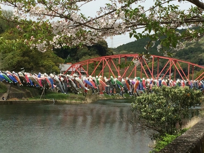 官人橋と鯉のぼり_1