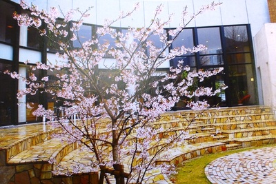 古湯温泉　①富士ビラ　山華の正