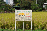 田んぼで遊ぼう！　最終回