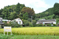 田んぼで遊ぼう LAST のお知らせ