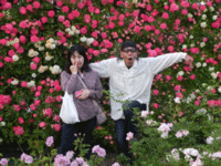 6月1日の記事