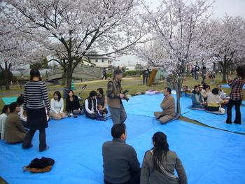 石井樋（いしいび）公園にて花見・・・