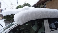 大雪続編