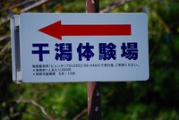 むつごろう
