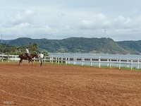平戸にて乗馬