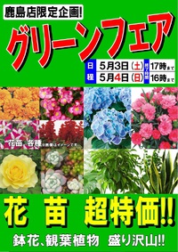 ユートク鹿島店　グリーンコーナーよりお知らせです！