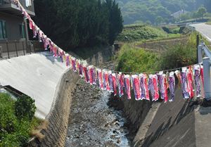 大群