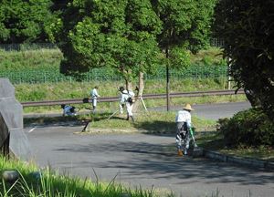 草刈作業