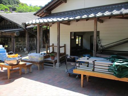 風になびく