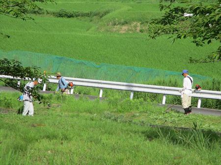 カート出動！