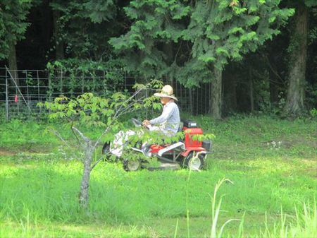 カート出動！