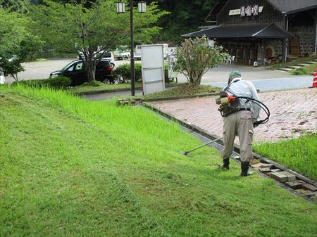 カート出動！