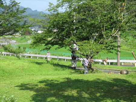 カート出動！