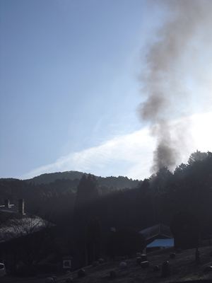 今朝は霜です