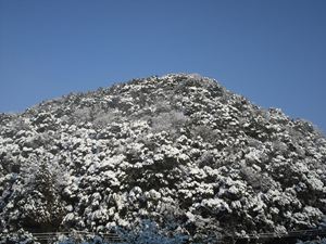 雪景色
