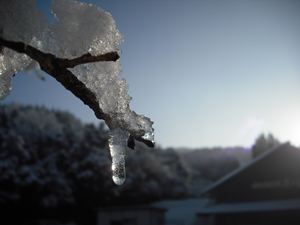 雪景色