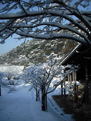 雪景色