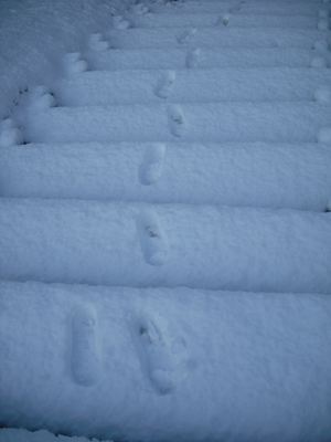 雪景色