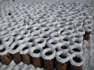 雪景色