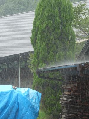 通り雨