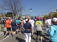 桜マラソンン